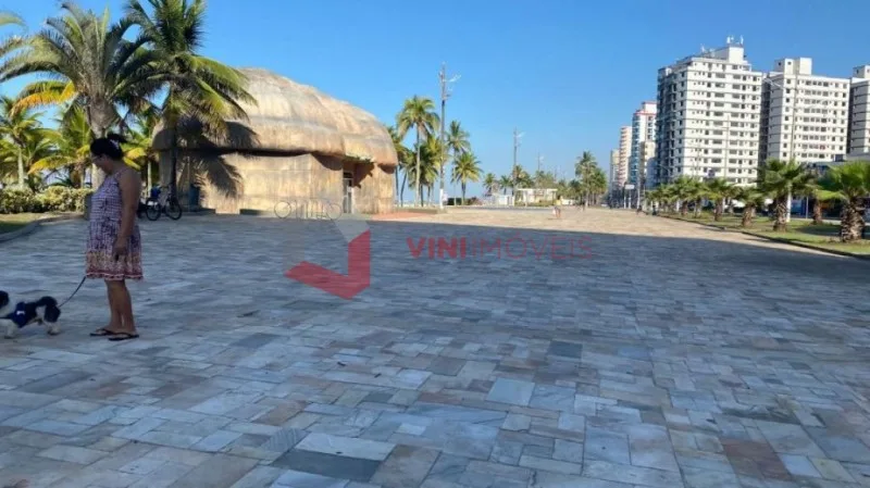 Apartamento 2 dormitórios no Vila Tupi - Praia Grande — foto 3